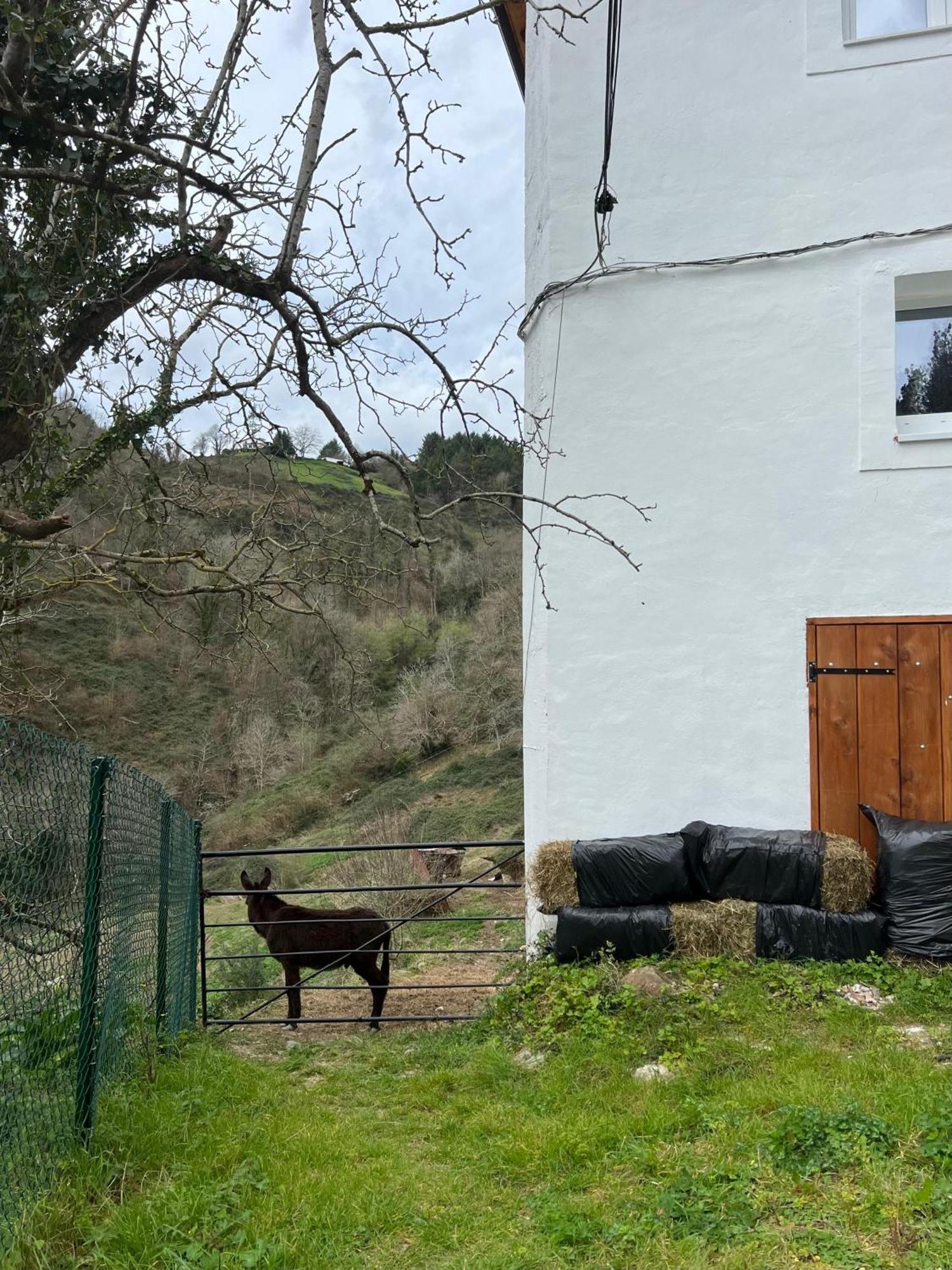 Fantastico Retiro Rural En El Corazon De Euskadi Apartment Elgoibar Exterior photo